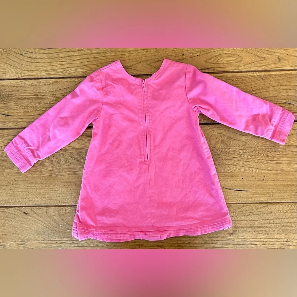 Lourdes Pink dress with frog size 24 mths